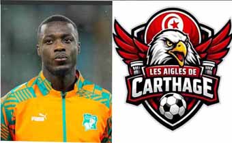 L'Afrique à la Coupe du Monde 2026 (8) : Les Éléphants barrissent de joie, Les Aigles glatissent de douleur